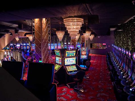 palace bingo and casino